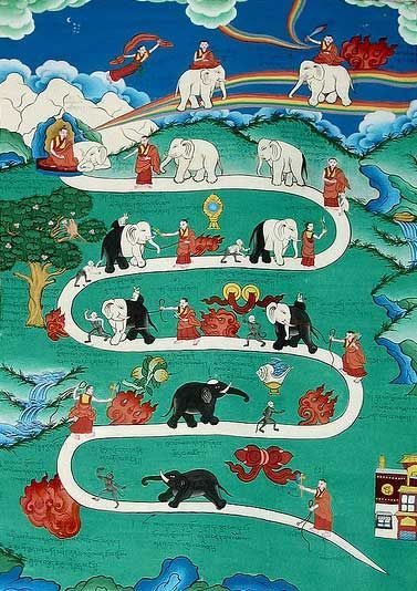 Training the elephant-like mind