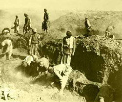 The Excavations at Oxyrhynchus c. 1898